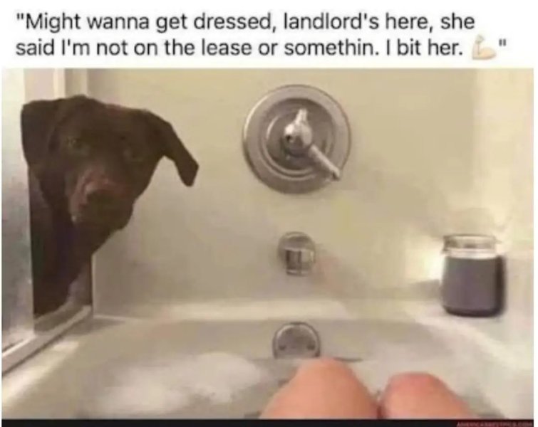 lease.jpg