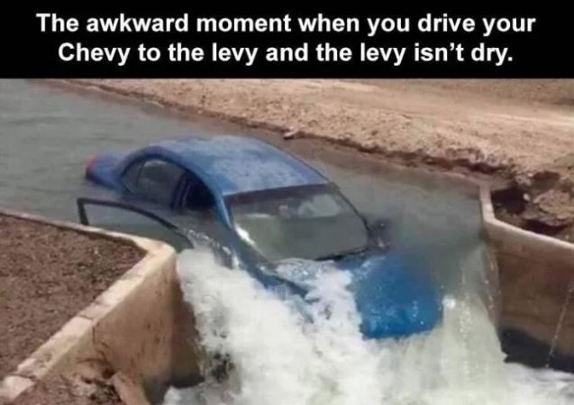 levy.JPG
