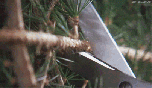 little-full-lotta-sap.gif
