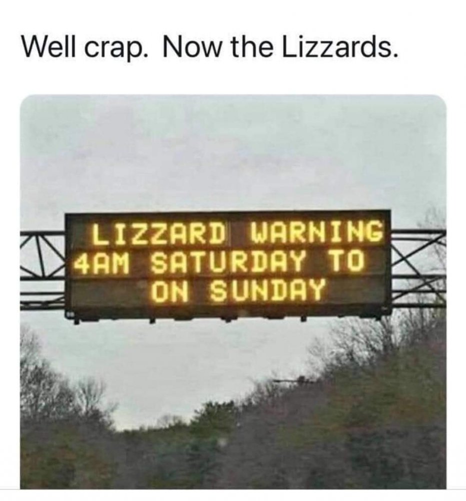 liz.jpg