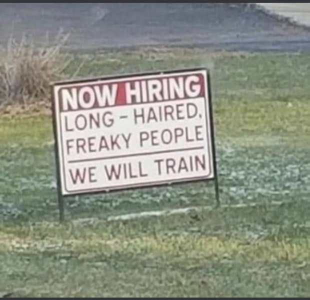 long.jpeg