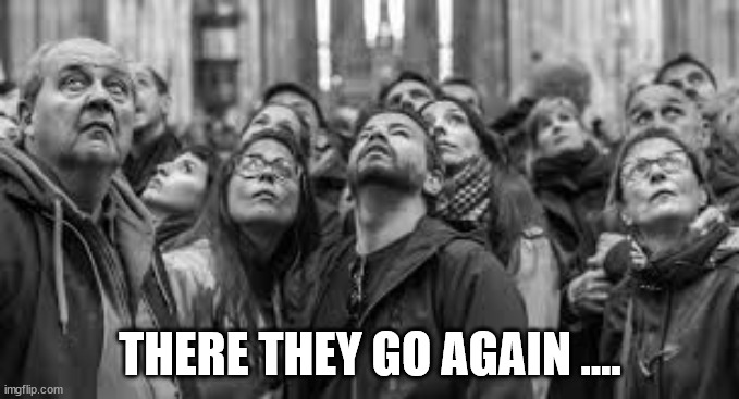 lookingup.jpg