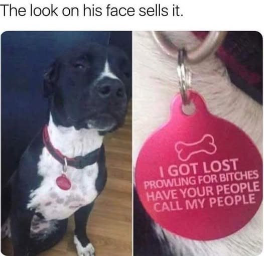 lost.jpeg