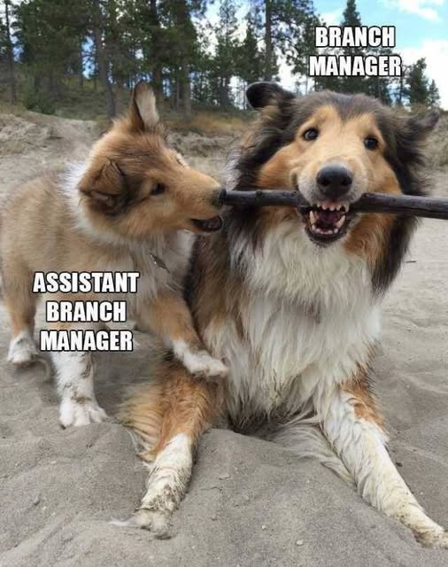 mana.png