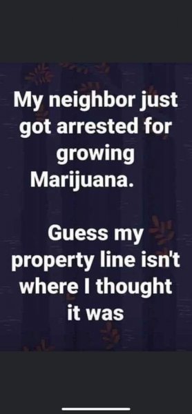 marijuana.jpg