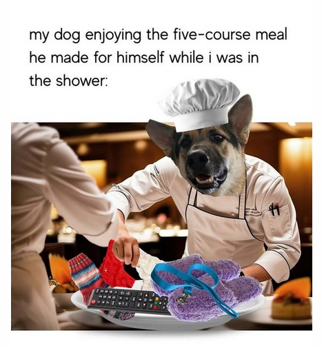 meal.png