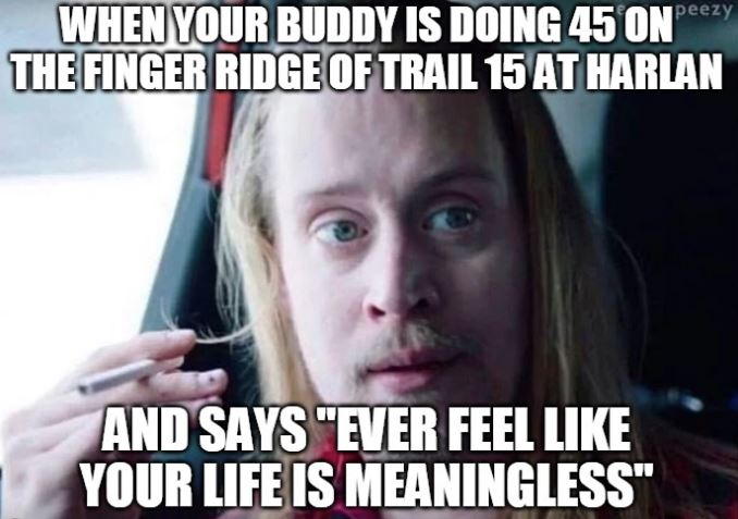 meaningless harlan.JPG
