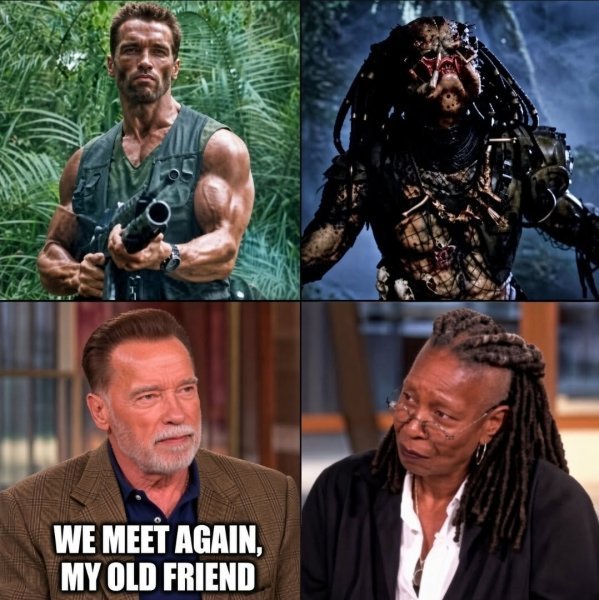 meet.jpeg