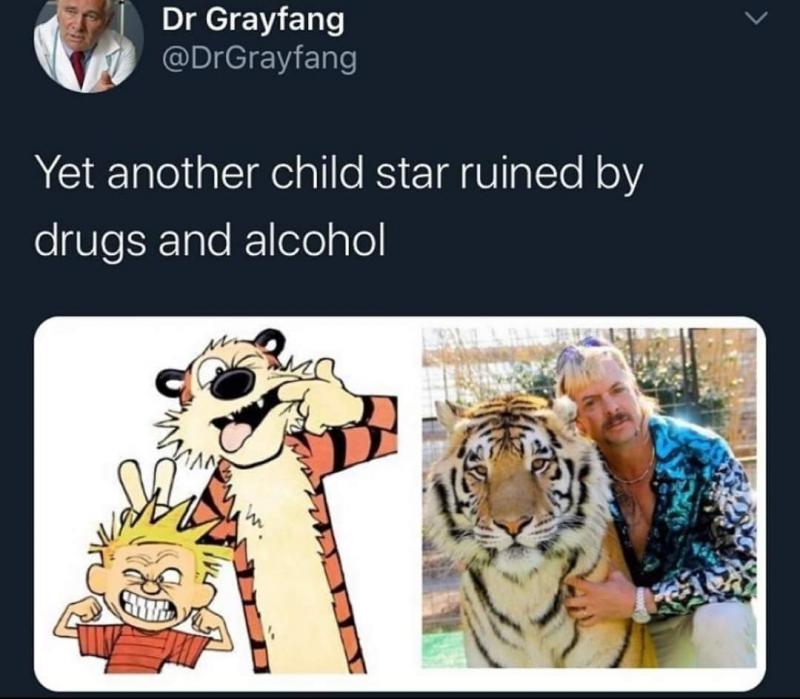 meme3.jpg