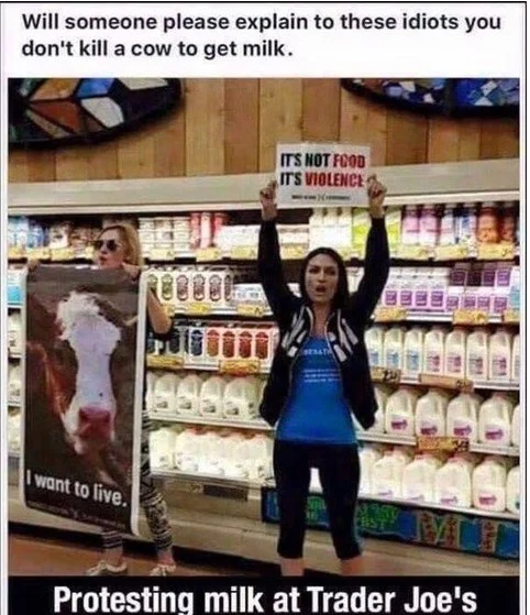 milk.png