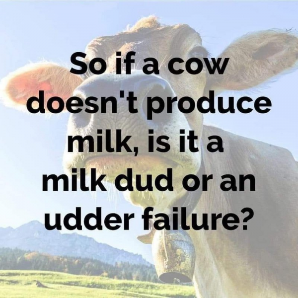 milk.png