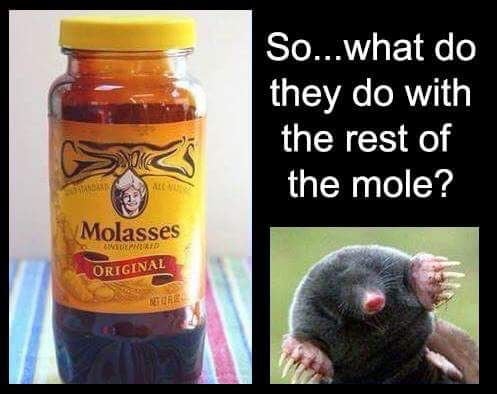 mole.jpg
