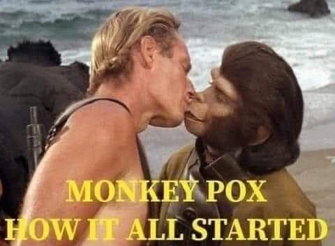 monkey.jpg