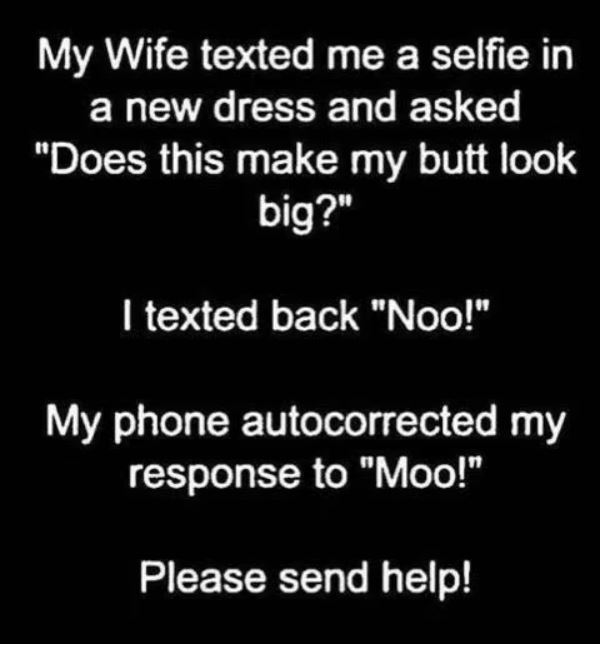 moo.JPG