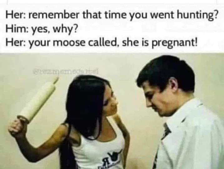 moose.jpeg