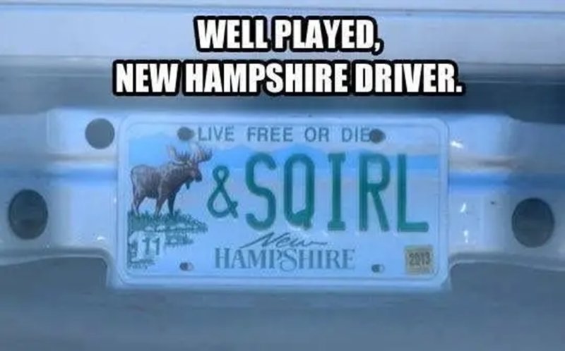moose.jpg