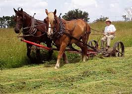 mule mower.jpg