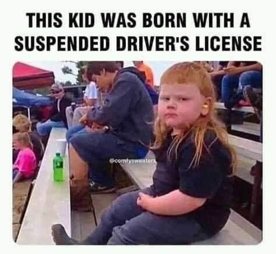 mulletn.jpg