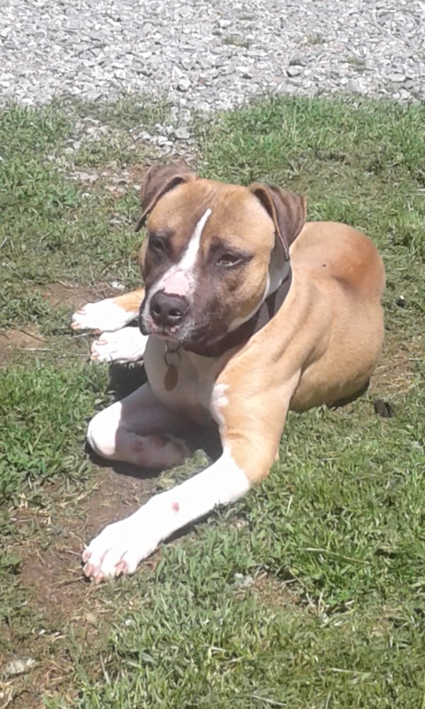 Murphy 4-9-2017.jpg