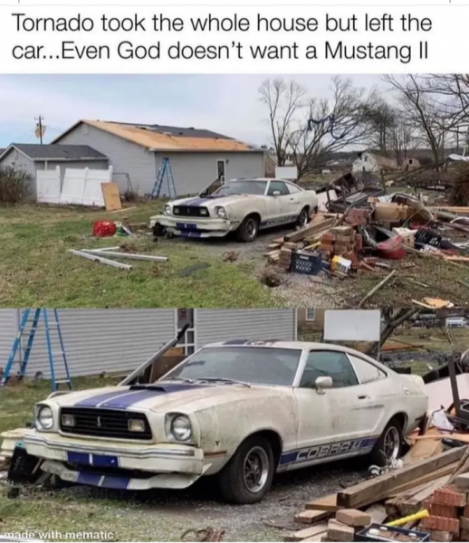 mustang.png