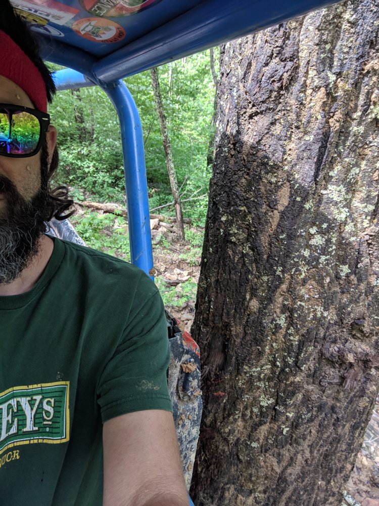 MVIMG_20190505_113026.jpg