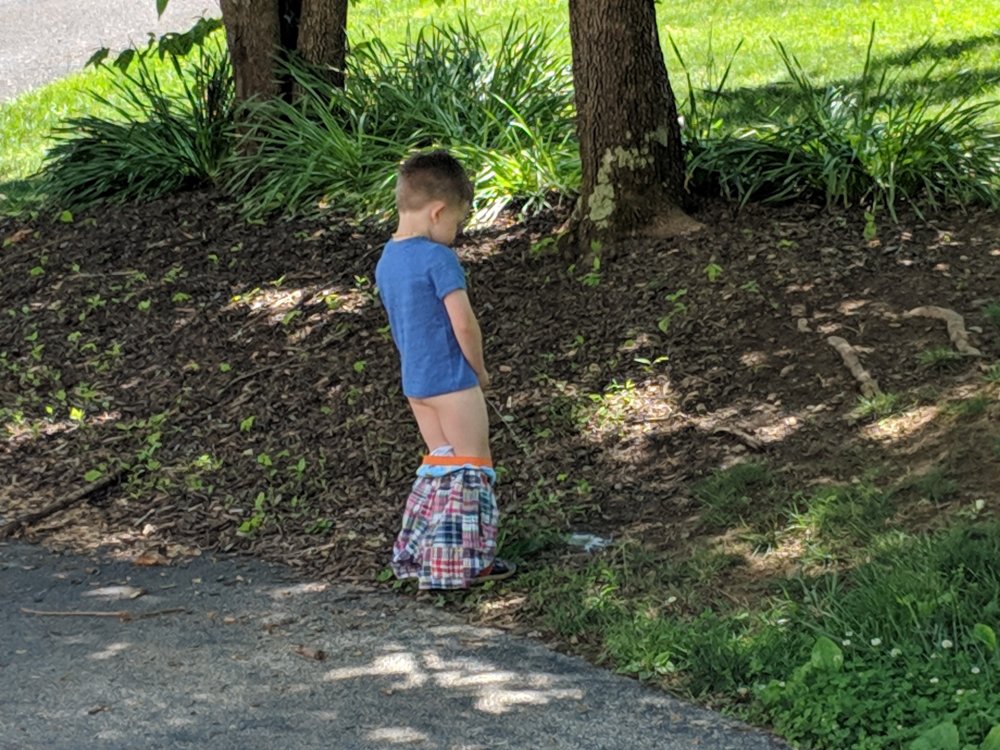 MVIMG_20190506_122554.jpg
