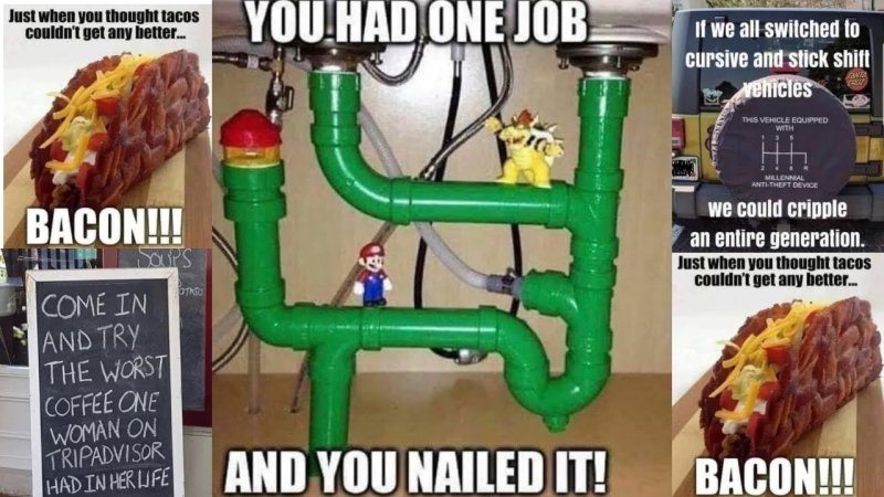 nailed.jpeg