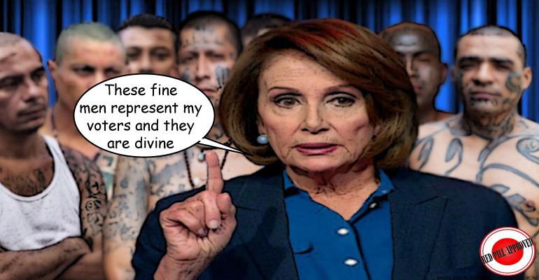 nancy-pelosi-ms13.png