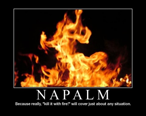 napalm_KILL_IT_KILL_IT_WITH_FIRE-s480x384-132463.jpg