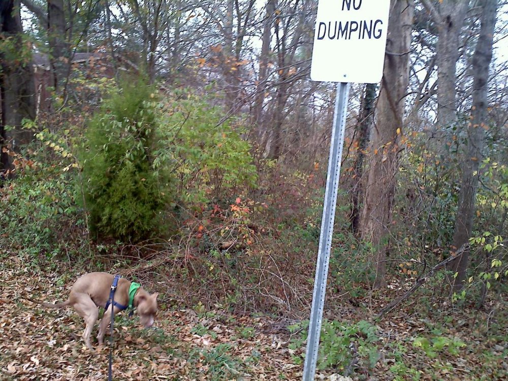 No Dumping.jpg