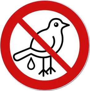 no poop.jpg