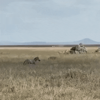 not today.gif