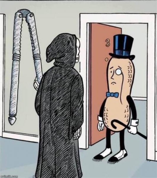 nut1.jpeg