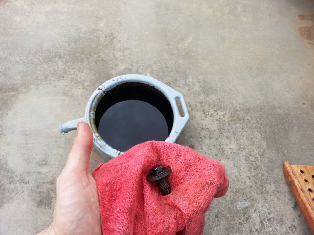 Oil nut.jpg
