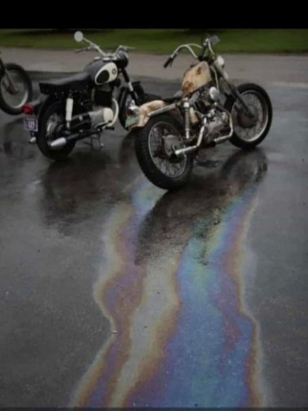 oily-bike-sh.jpg