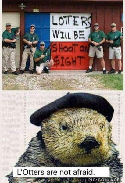 otters.jpg