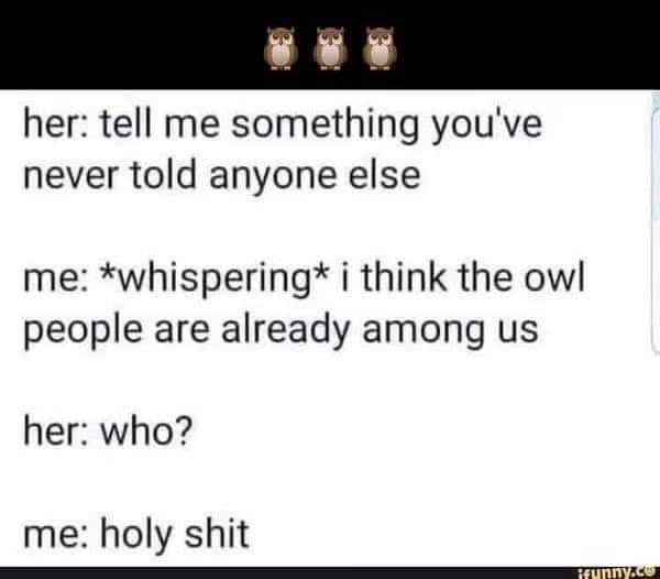 owl.png