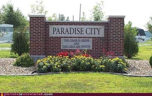 paradise city.jpg