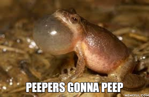 peepersgonapeep.jpg