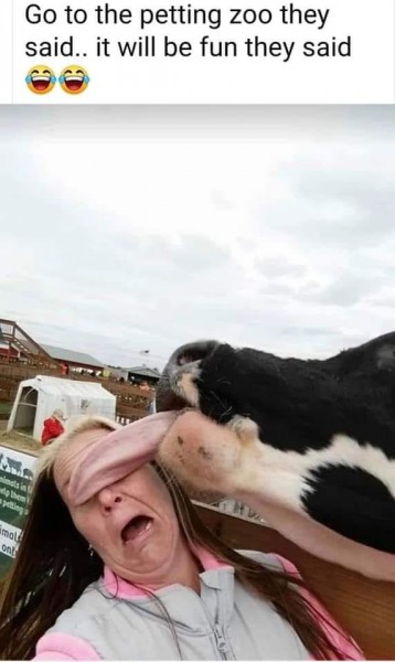 petting.jpg