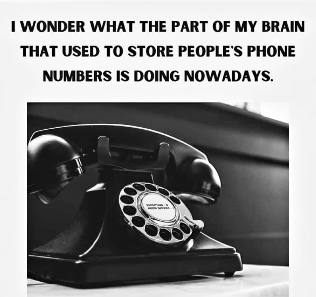phone.png