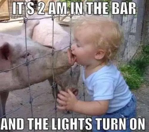 pig.jpg
