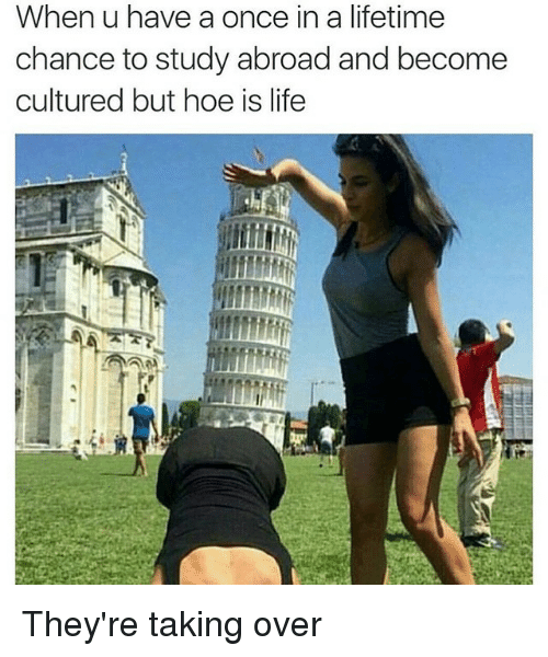 pisa.png