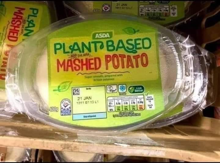 plant.png