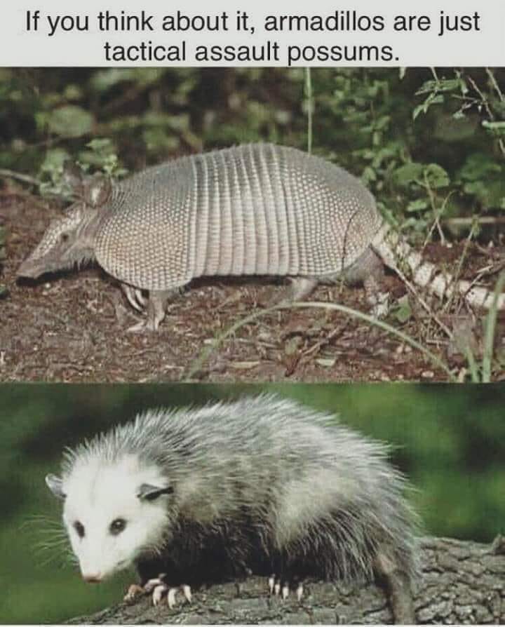 poss.jpg