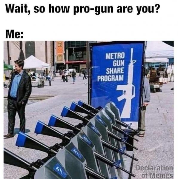pro gun.jpg