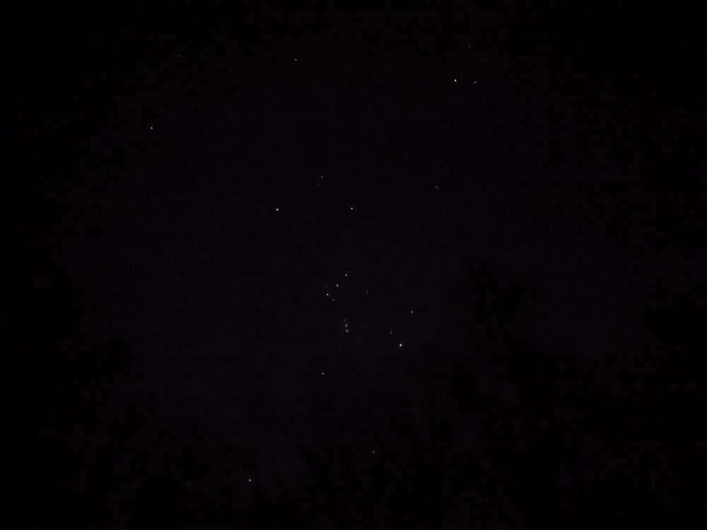 PXL_20210115_023930771.NIGHT.jpg