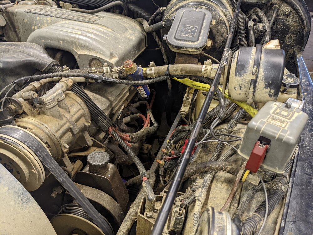 PXL_20220323_224219794.jpg