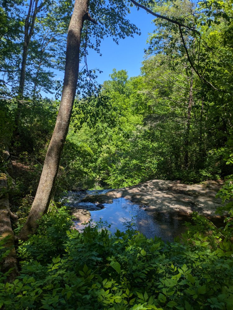 PXL_20260503_163240895.jpg