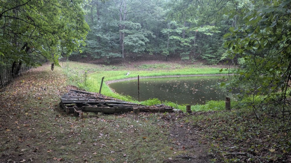 PXL_20260711_152902205.jpg